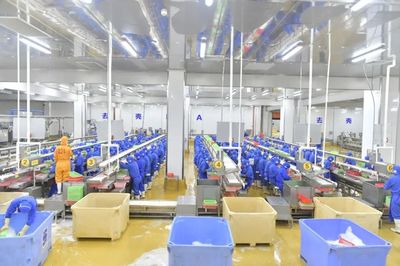 预制菜飘香！湛江企业抢抓“双循环”万亿市场机遇